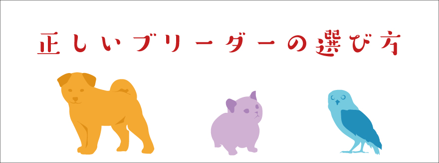 正しいブリーダーの選び方